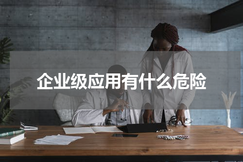 企业级应用有什么危险