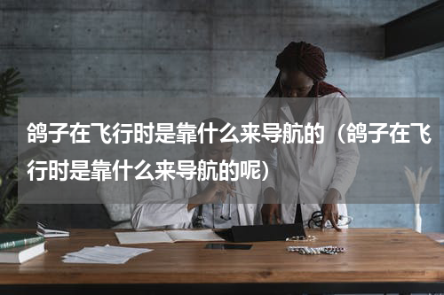 鸽子在飞行时是靠什么来导航的（鸽子在飞行时是靠什么来导航的呢）