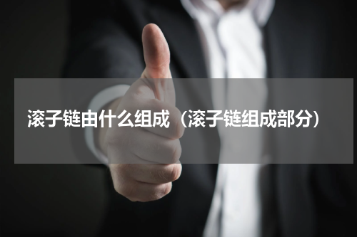 滚子链由什么组成（滚子链组成部分）