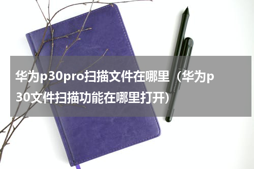 华为p30pro扫描文件在哪里（华为p30文件扫描功能在哪里打开）