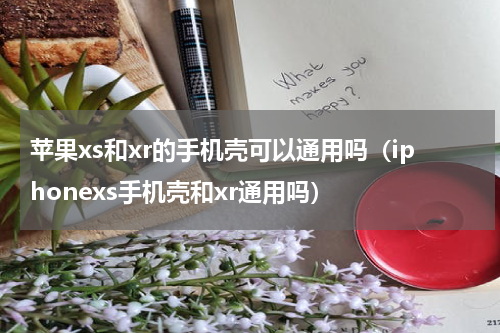 苹果xs和xr的手机壳可以通用吗（iphonexs手机壳和xr通用吗）