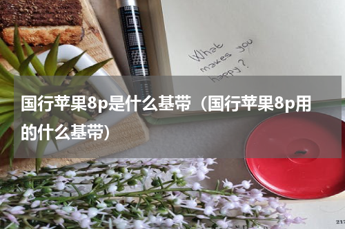 国行苹果8p是什么基带（国行苹果8p用的什么基带）