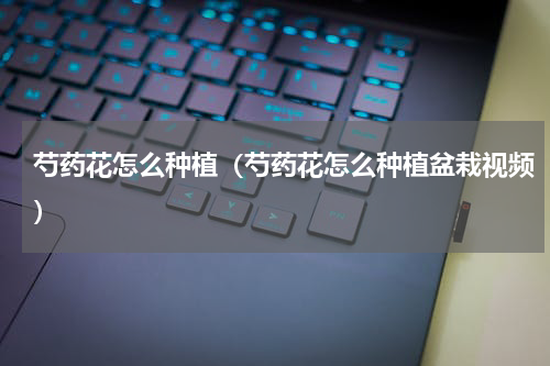 芍药花怎么种植（芍药花怎么种植盆栽视频）