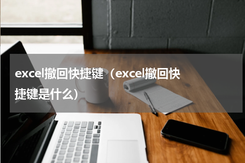 excel撤回快捷键（excel撤回快捷键是什么）