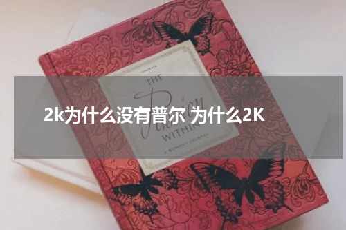 2k为什么没有普尔 为什么2K