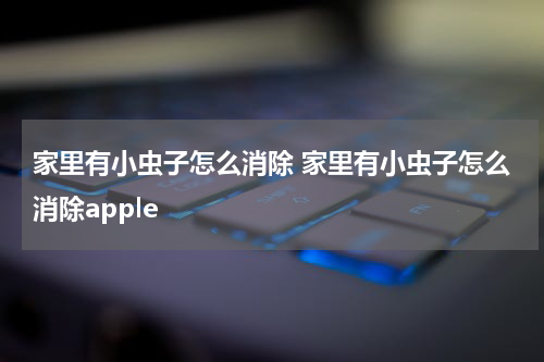 家里有小虫子怎么消除 家里有小虫子怎么消除apple