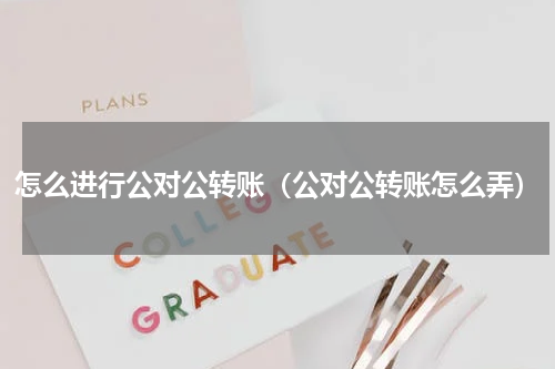 怎么进行公对公转账（公对公转账怎么弄）