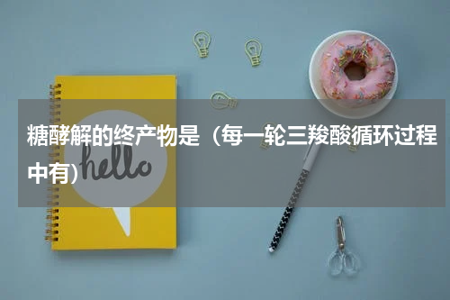 糖酵解的终产物是（每一轮三羧酸循环过程中有）
