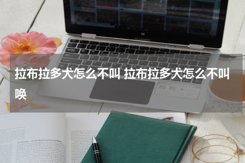 拉布拉多犬怎么不叫 拉布拉多犬怎么不叫唤
