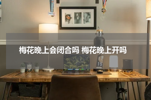 梅花晚上会闭合吗 梅花晚上开吗