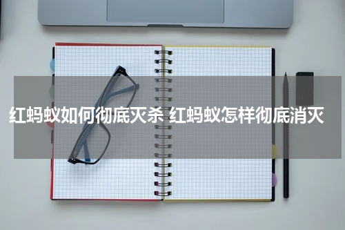 红蚂蚁如何彻底灭杀 红蚂蚁怎样彻底消灭