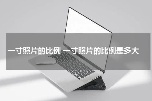 一寸照片的比例 一寸照片的比例是多大