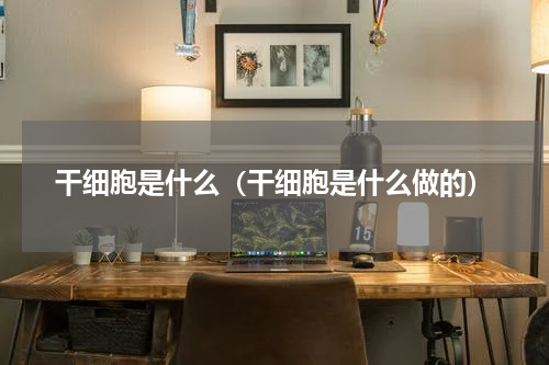 干细胞是什么（干细胞是什么做的）