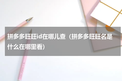 拼多多旺旺id在哪儿查（拼多多旺旺名是什么在哪里看）