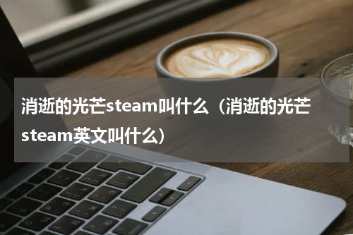 消逝的光芒steam叫什么（消逝的光芒steam英文叫什么）