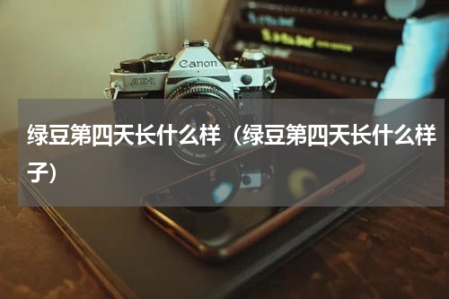 绿豆第四天长什么样（绿豆第四天长什么样子）