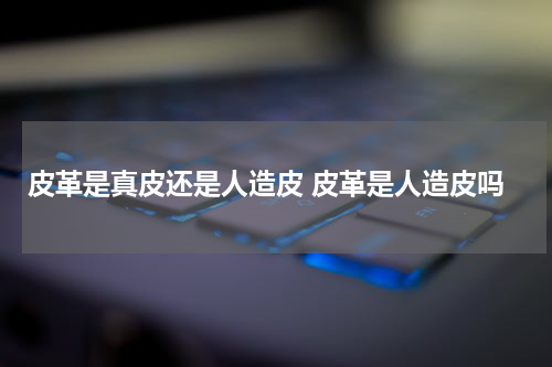 皮革是真皮还是人造皮 皮革是人造皮吗