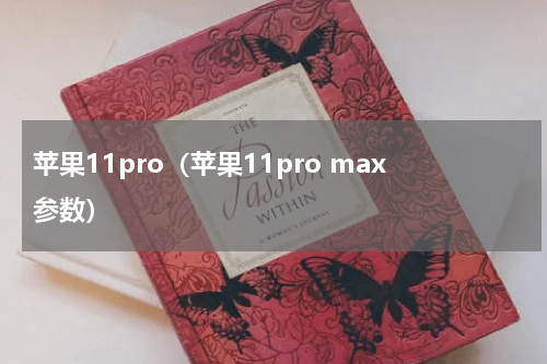 苹果11pro（苹果11pro max参数）