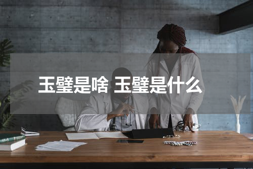 玉璧是啥 玉璧是什么