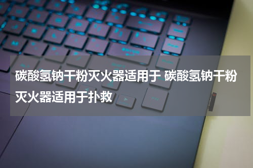 碳酸氢钠干粉灭火器适用于 碳酸氢钠干粉灭火器适用于扑救
