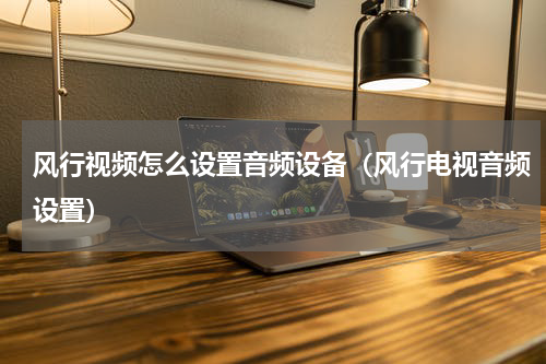 风行视频怎么设置音频设备（风行电视音频设置）
