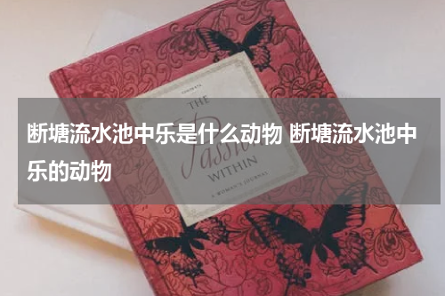 断塘流水池中乐是什么动物 断塘流水池中乐的动物