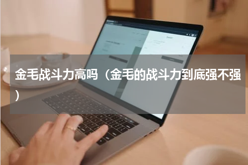 金毛战斗力高吗（金毛的战斗力到底强不强）