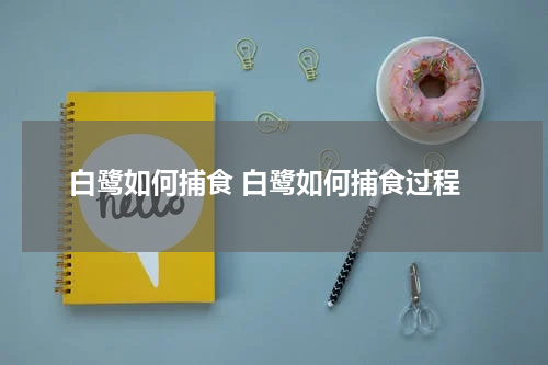 白鹭如何捕食 白鹭如何捕食过程