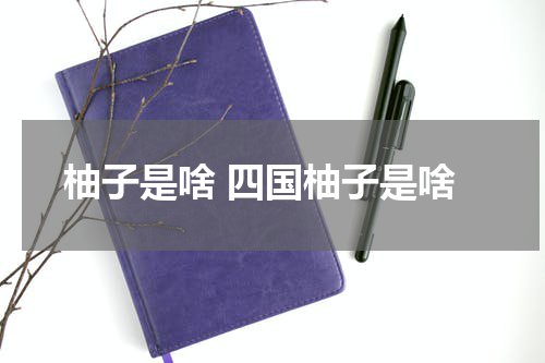 柚子是啥 四国柚子是啥