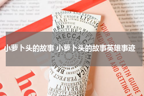 小萝卜头的故事 小萝卜头的故事英雄事迹