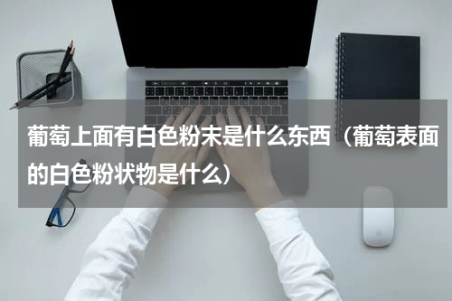 葡萄上面有白色粉末是什么东西（葡萄表面的白色粉状物是什么）