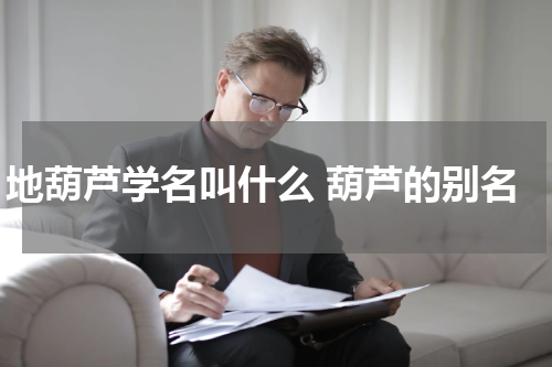 地葫芦学名叫什么 葫芦的别名