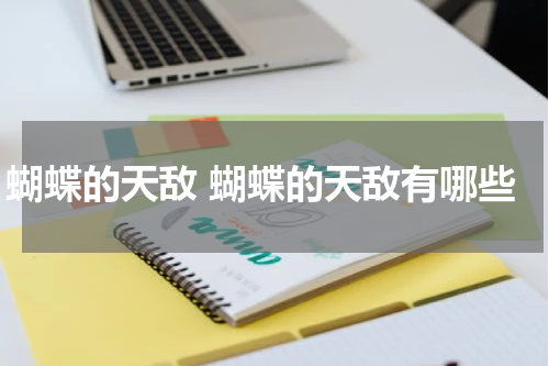 蝴蝶的天敌 蝴蝶的天敌有哪些