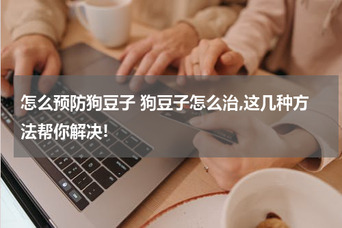 怎么预防狗豆子 狗豆子怎么治,这几种方法帮你解决!