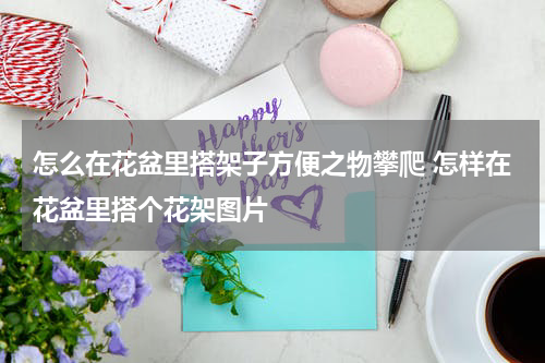 怎么在花盆里搭架子方便之物攀爬 怎样在花盆里搭个花架图片