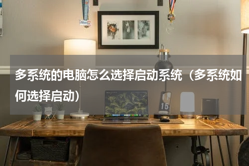 多系统的电脑怎么选择启动系统（多系统如何选择启动）