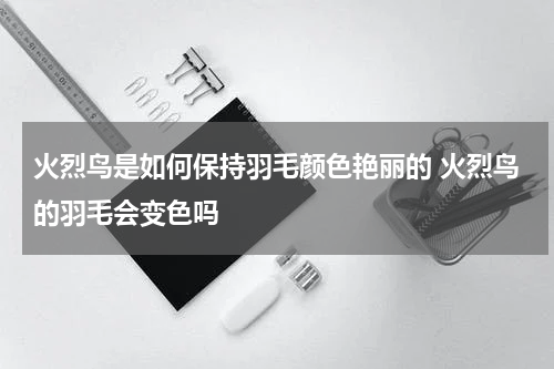 火烈鸟是如何保持羽毛颜色艳丽的 火烈鸟的羽毛会变色吗