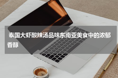  泰国大虾酸辣汤品味东南亚美食中的浓郁香醇