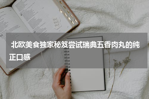  北欧美食独家秘笈尝试瑞典五香肉丸的纯正口感