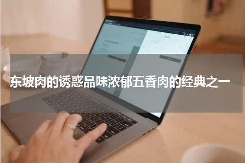  东坡肉的诱惑品味浓郁五香肉的经典之一