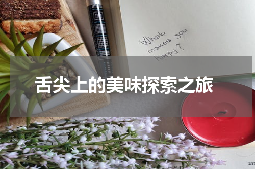  舌尖上的美味探索之旅