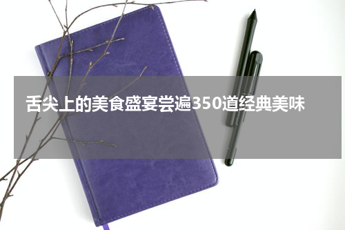  舌尖上的美食盛宴尝遍350道经典美味 
