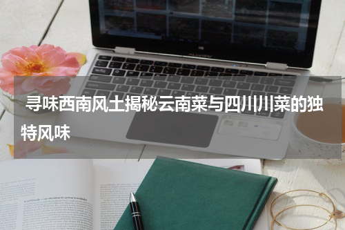  寻味西南风土揭秘云南菜与四川川菜的独特风味
