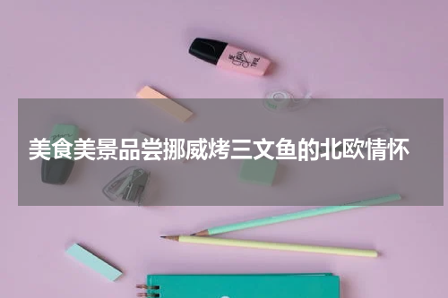  美食美景品尝挪威烤三文鱼的北欧情怀