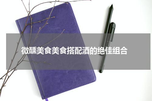  微醺美食美食搭配酒的绝佳组合