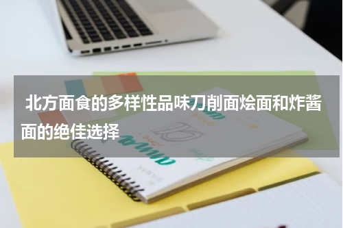  北方面食的多样性品味刀削面烩面和炸酱面的绝佳选择
