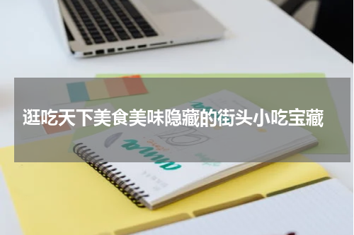  逛吃天下美食美味隐藏的街头小吃宝藏