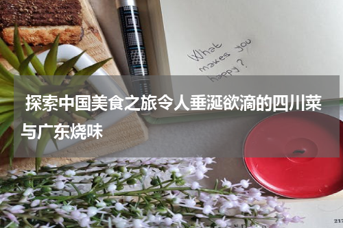  探索中国美食之旅令人垂涎欲滴的四川菜与广东烧味