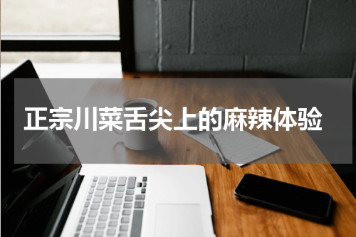  正宗川菜舌尖上的麻辣体验