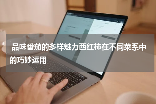  品味番茄的多样魅力西红柿在不同菜系中的巧妙运用